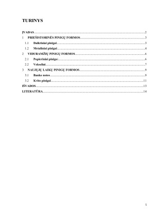 TEORIJOS, APIBRĖŽIANČIOS PAGRINDINES PINIGŲ FORMAS. Paveikslėlis 2