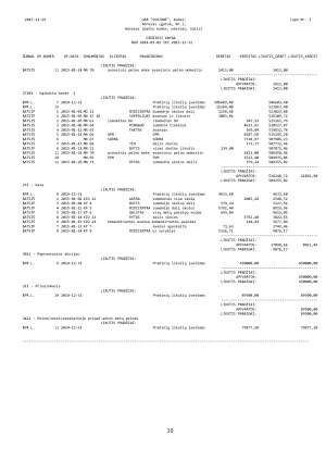 Įmonės finansinė atskaitomybė. Paveikslėlis 10
