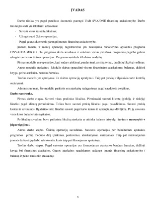 Įmonės finansinė atskaitomybė. Paveikslėlis 3