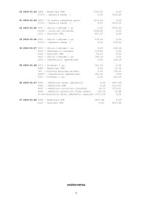 Įmonės finansinė atskaitomybė. Paveikslėlis 7