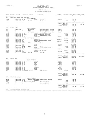 Įmonės finansinė atskaitomybė. Paveikslėlis 9