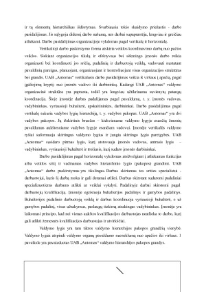 UAB „ANTOMAS“ ORGANIZACINĖS VALDYMO STRUKTŪROS CHARAKTERISTIKŲ ANALIZĖ. Paveikslėlis 4