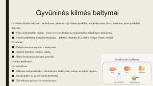 Baltymai. Paveikslėlis 7