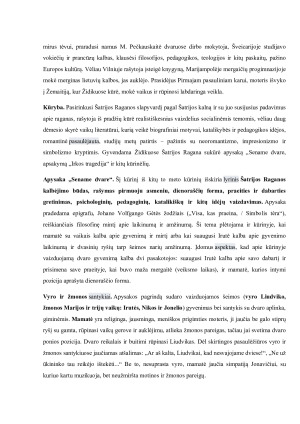 Lietuvių kalbos ir literatūros programinių autorių konspektai. Paveikslėlis 8