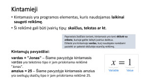 Algoritmai, funkcijos, kintamieji. Paveikslėlis 5