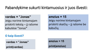 Algoritmai, funkcijos, kintamieji. Paveikslėlis 9