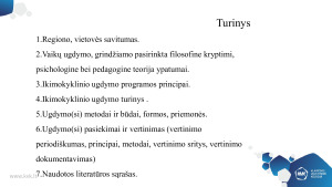 Lopšelio-darželio ugdymo programa. Paveikslėlis 3