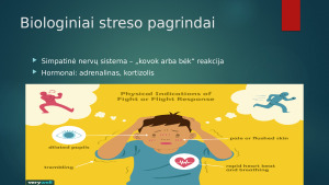 Studentų streso priežastys ir požymiai rodantys nesusidorojimą su stresu. Paveikslėlis 3