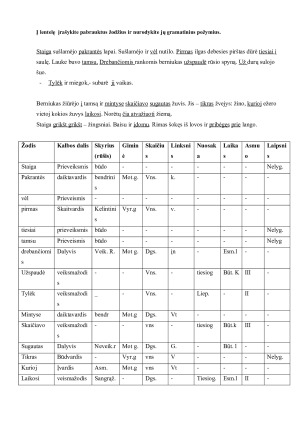 Morfologinis nagrinėjimas. Užduotys