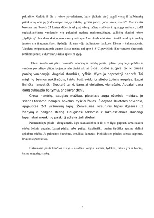 Ščiurio kaimelio gamtinė aplinka ir jos apsaugos ypatumai. Paveikslėlis 4