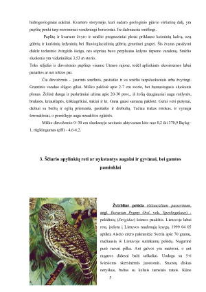 Ščiurio kaimelio gamtinė aplinka ir jos apsaugos ypatumai. Paveikslėlis 6