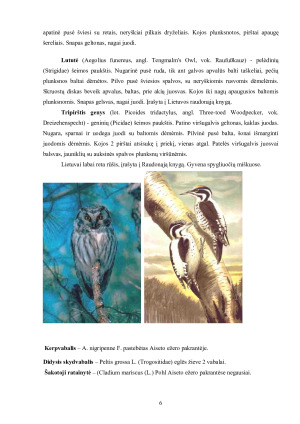 Ščiurio kaimelio gamtinė aplinka ir jos apsaugos ypatumai. Paveikslėlis 7