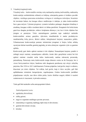 Aplinkos tarša. Paveikslėlis 6