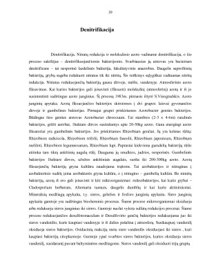 MIKROORGANIZMŲ PANAUDOJIMAS ŽEMĖS ŪKYJE. Paveikslėlis 10