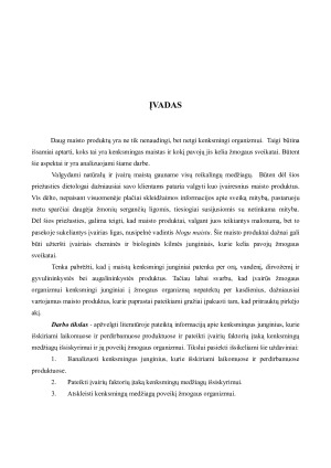 KENKSMINGIEJI JUNGINIAI, SUSIDARANTYS MAISTO PRODUKTUS PERDIRBANT IR JUOS LAIKANT. Paveikslėlis 3