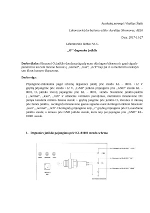 ,,O2“ deguonies jutiklis
