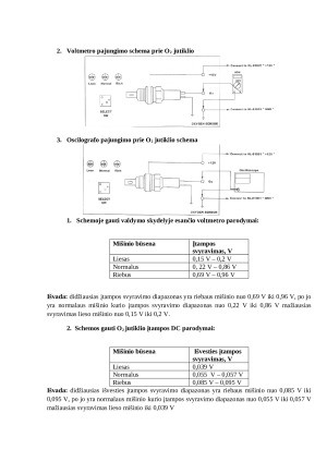 ,,O2“ deguonies jutiklis. Paveikslėlis 2