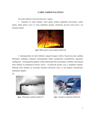 EKONOMINIŲ PRIEMONIŲ TAIKYMAS ORO TARŠAI MAŽINTI. Paveikslėlis 4