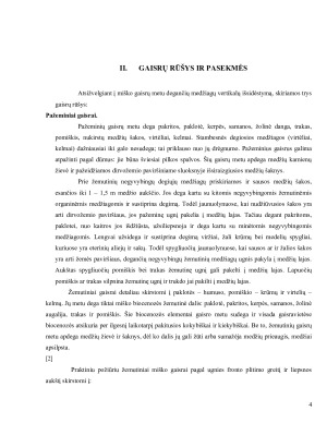 Gaisrai ir jų pasekmės Lietuvoje. Paveikslėlis 5