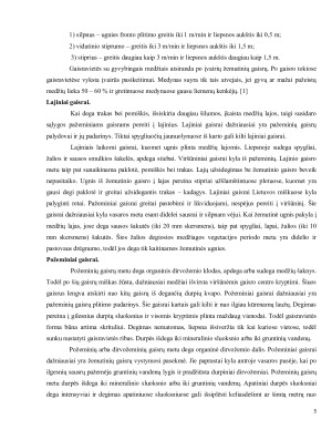 Gaisrai ir jų pasekmės Lietuvoje. Paveikslėlis 6