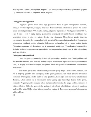 Gaisrai ir jų pasekmės Lietuvoje. Paveikslėlis 8
