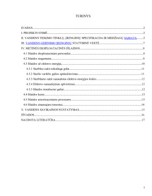 VANDENS GERINIMO ĮRENGINIŲ KOMPLEKSO EKONOMINIS PAGRINDIMAS. Paveikslėlis 2