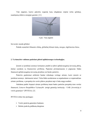 Aplinką tausojančios inovacijos. Vyriausybės vaidmuo padedant plėtoti aplinkosaugos technologijas. Paveikslėlis 8