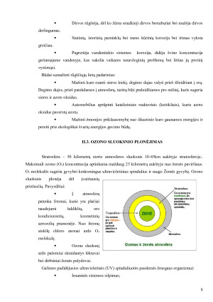 ŽMOGAUS ĮTAKA APLINKAI. Paveikslėlis 8