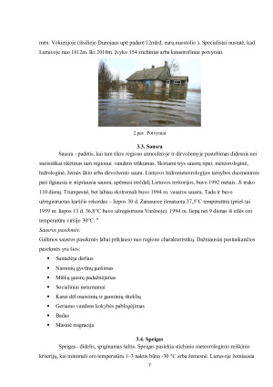 GAMTINĖS KILMĖS EKSTREMALIOS SITUACIJOS, JŲ PRIEŽASTYS IR PADARINIAI. Paveikslėlis 7