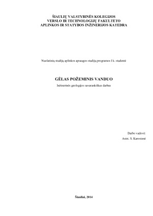 GĖLAS POŽEMINIS VANDUO. Paveikslėlis 1