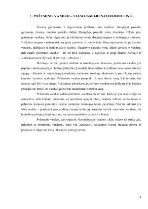GĖLAS POŽEMINIS VANDUO. Paveikslėlis 4
