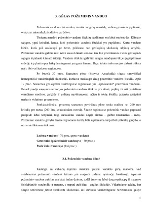 GĖLAS POŽEMINIS VANDUO. Paveikslėlis 6