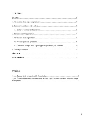 Černobylio atominės elektrinės atvejo analizė. Paveikslėlis 2