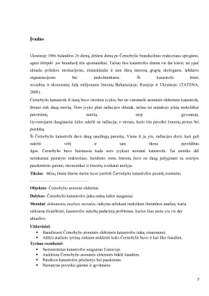 Černobylio atominės elektrinės atvejo analizė. Paveikslėlis 3