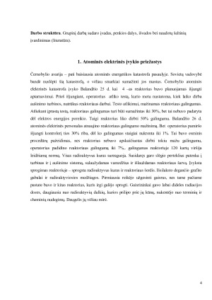 Černobylio atominės elektrinės atvejo analizė. Paveikslėlis 4