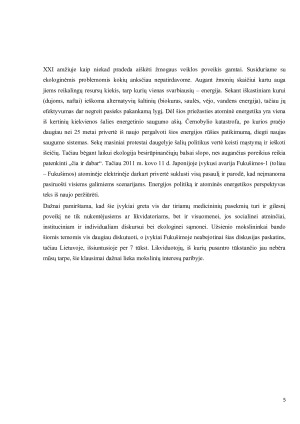 Černobylio atominės elektrinės atvejo analizė. Paveikslėlis 5