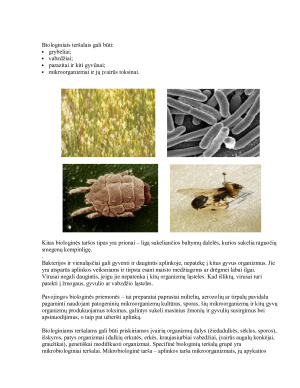 BIOLOGINIS APLINKOS TERŠIMAS. Paveikslėlis 5
