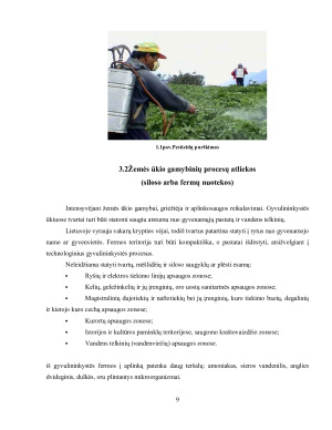 APLINKOS TARŠA ŽEMĖS ŪKYJE. Paveikslėlis 9
