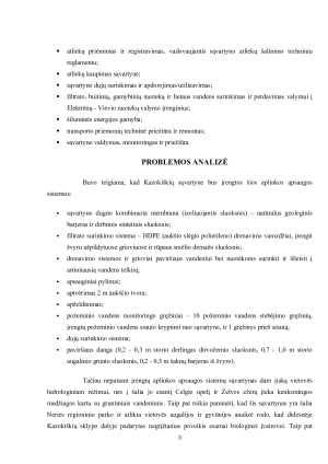 KAZOKIŠKIŲ SĄVARTYNAS. Paveikslėlis 3