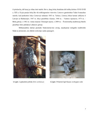 Miškatundrių ir miškapievių biomų augalija bei gyvūnija. Paveikslėlis 7