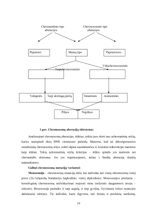Chromosomų mutacijos. Paveikslėlis 10