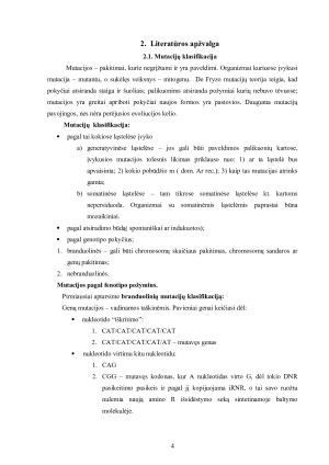 Chromosomų mutacijos. Paveikslėlis 4
