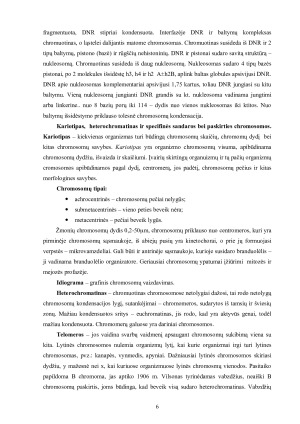 Chromosomų mutacijos. Paveikslėlis 6