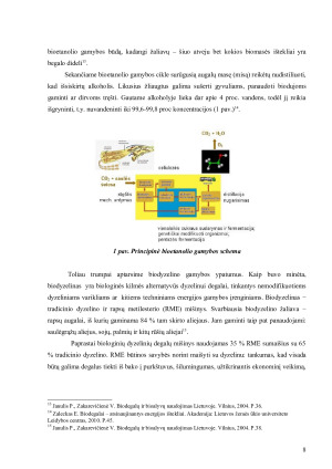APLINKAI DRAUGIŠKO TRANSPORTO (BIODEGALAIS VAROMO) VEIKIMO PAGRINDAS, PRIVALUMAI IR TRŪKUMAI. Paveikslėlis 8