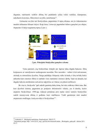 APLINKAI DRAUGIŠKO TRANSPORTO (BIODEGALAIS VAROMO) VEIKIMO PAGRINDAS, PRIVALUMAI IR TRŪKUMAI. Paveikslėlis 9