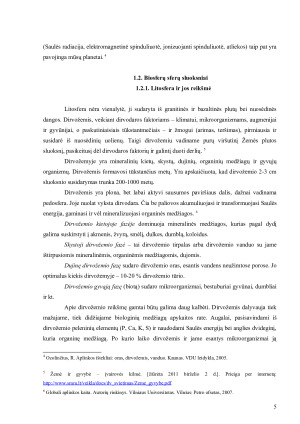 KLIMATO POVEIKIS CHEMINIAMS PROCESAMS BIOSFEROJE. Paveikslėlis 5