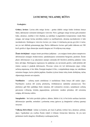 STICHINĖS NELAIMĖS IR APLINKOSAUGA. Paveikslėlis 5