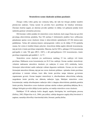 Ozono sluoksnio nykimo priežastys. Paveikslėlis 4