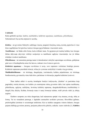 Tarpkultūrinis švietimas ir komunikacija. Paveikslėlis 10