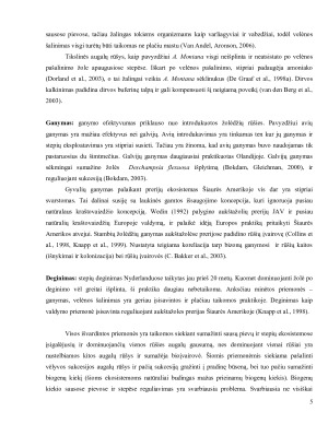 ATSTATOMOJI EKOLOGIJA – ĮVAIRIŲ EKOSISTEMŲ TIPŲ ATSTATYMAS. Paveikslėlis 5